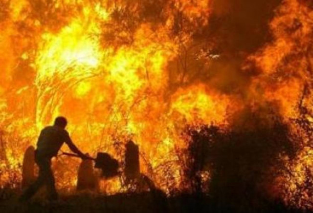 Σε εξέλιξη φωτιά στην Μεσσηνία