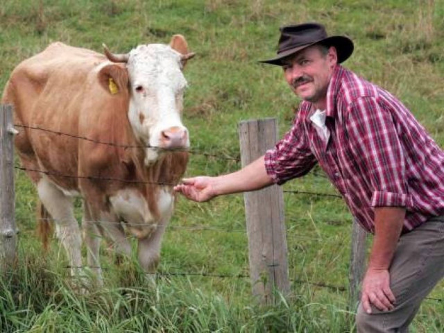 Σε καταφύγιο ζώων η Υβόννη