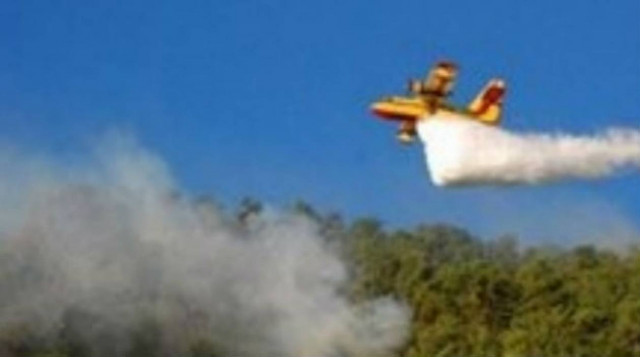 Υπό έλεγχο η πυρκαγιά στον Κάλαμο