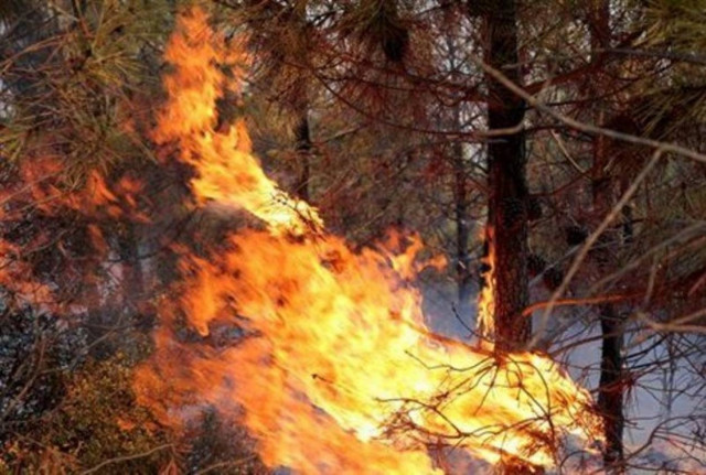 Υπό έλεγχο η φωτιά στο Μαίναλο