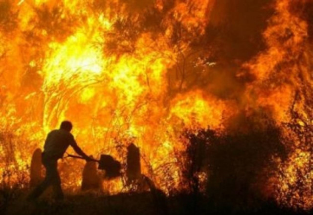 Υπό έλεγχο η φωτιά στην Αργολίδα
