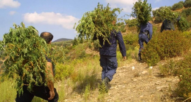 Αποποινικοποιείται η χρήση ναρκωτικών στην Ελλάδα