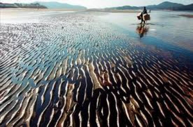 Ευθύνες στη BP για την οικολογική καταστροφή