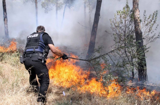 Πυρκαγιά σε δάσος της Φωκίδας
