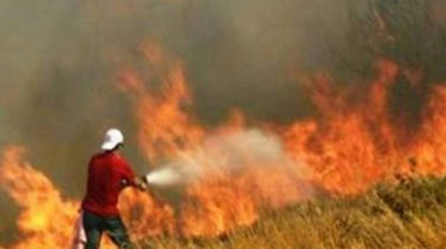Υπό μερικό έλεγχο τα πύρινα μέτωπα στη Μαγνησία