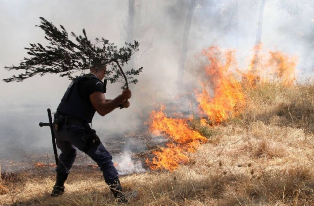 Καίγεται η Μαγνησία…