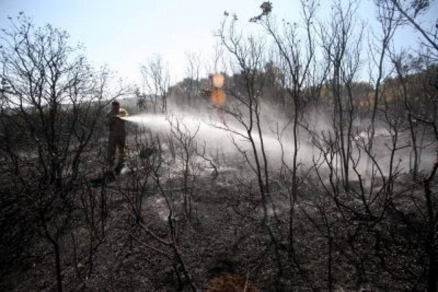 Υπό πλήρη έλεγχο η πυρκαγιά στην Χρυσοβίτσα