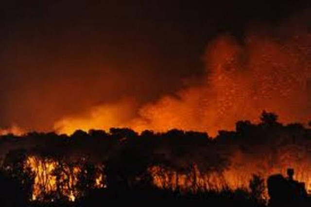 Κιλκίς:  Υπό έλεγχο η φωτιά
