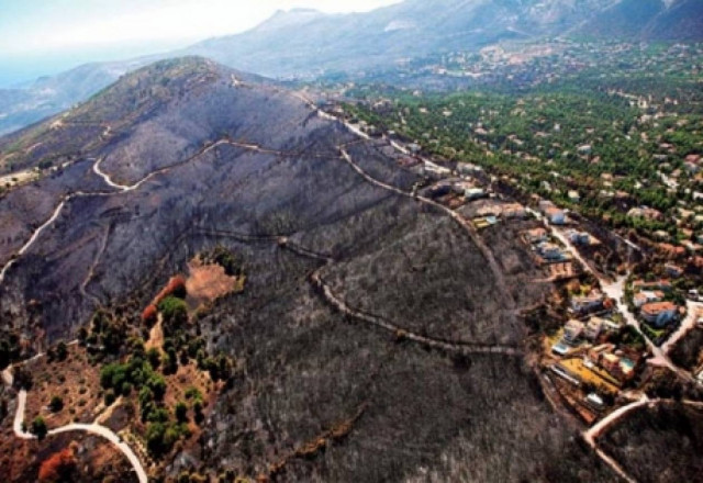Ν.Δ: Κυβερνητική αλχημεία με τους πυρόπληκτους της Ηλείας