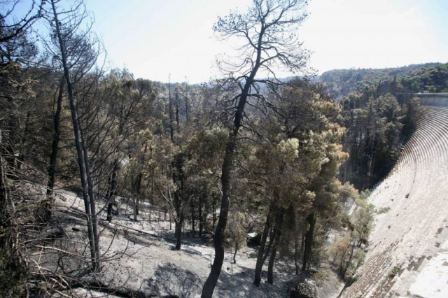 Υπό έλεγχο το πύρινο μέτωπο στην Λακωνία