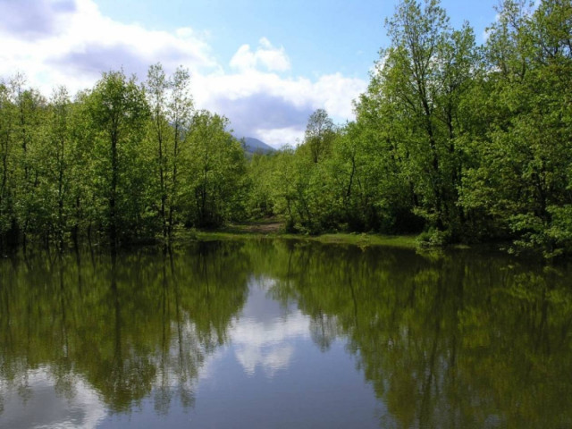Ο «πράσινος» Εναλλακτικός Τουρισμός