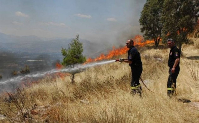 Πύρινο μέτωπο στη Θήβα