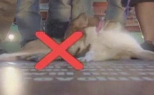 Η Σαρδέλα πρωταγωνίστρια στο νέο trailer του Ράδιο Αρβύλα