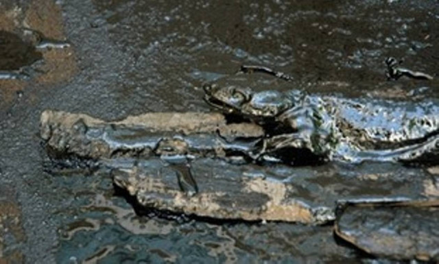 Αντιμέτωποι με τη μεγαλύτερη οικολογική καταστροφή