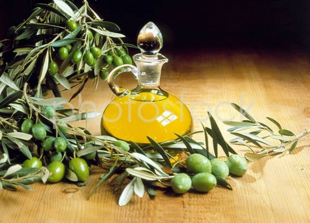 Μειωμένη η σοδειά λαδιού φέτος στην Κρήτη