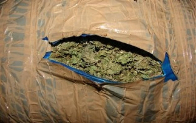 Ο σκύλος... μύρισε το χασίς