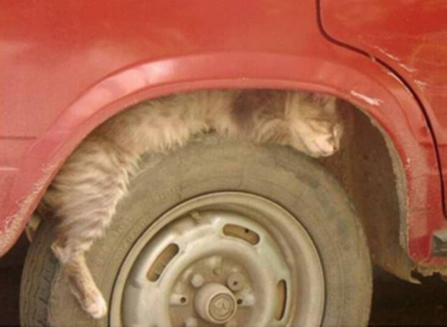 Περισυλλογή των εγκαταλελειμμένων αυτοκινήτων