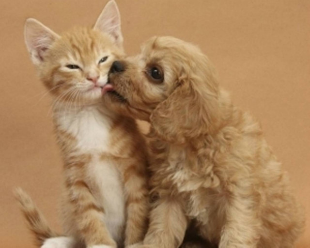 Οι πιο γλυκές φωτογραφίες της εβδομάδας