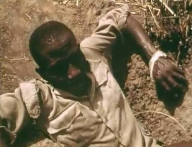 Χρησιμοποιούν άνθρωπο ως δόλωμα σε πύθωνα