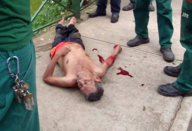 Τον έφαγαν οι μαϊμούδες