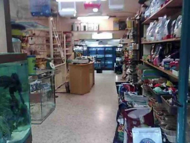 Αντί για κατοικίδιο, πήρε τις εισπράξεις