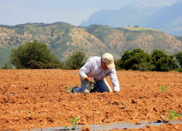 Στο νοσοκομείο από …αδέσποτα σκάγια!