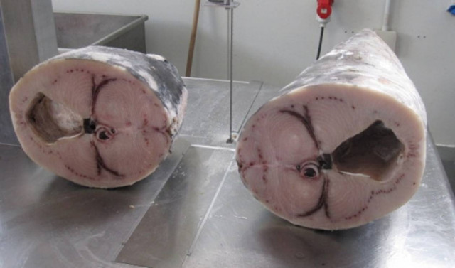 Απόσυρση ξιφία από τα ράφια σούπερ μάρκετ