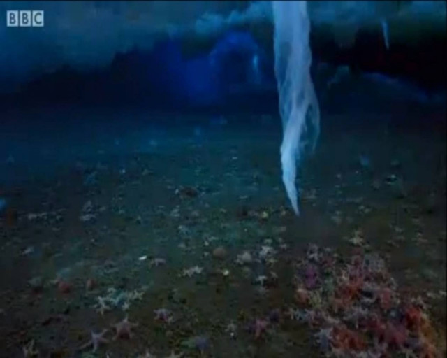 Φονικός πάγος στα βάθη του ωκεανού