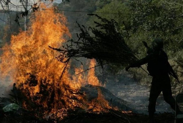 Μαριχουάνα στοπ στο… Μεξικό