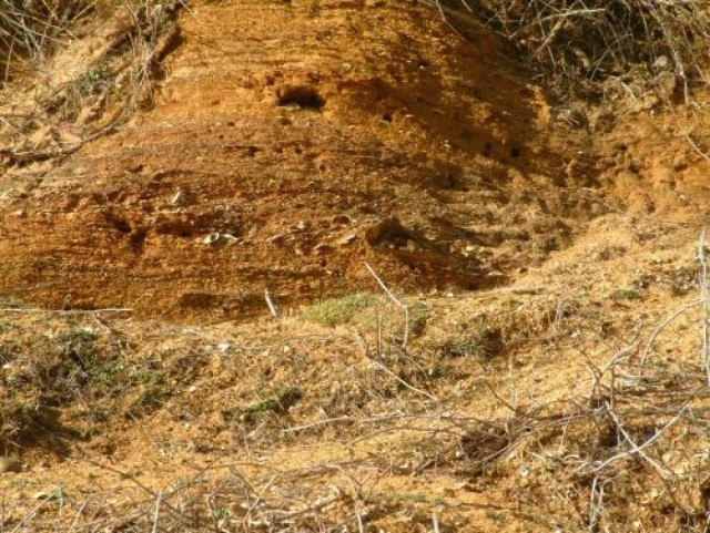 Ατύχημα σε πίστα αγώνων στη Μυτιλήνη
