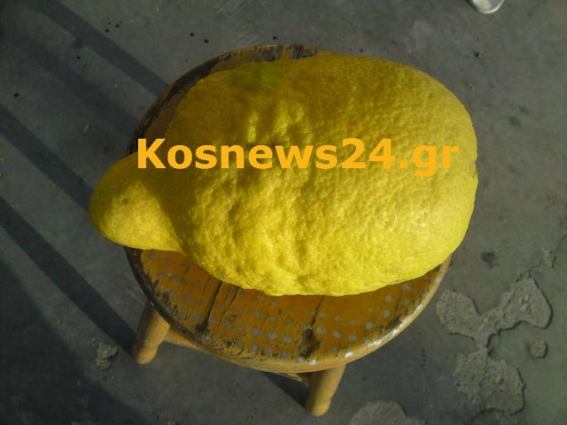 Λεμόνι 2,5 κιλών