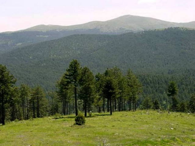 Eκδήλωση για την αντιμετώπιση φυσικών καταστροφών