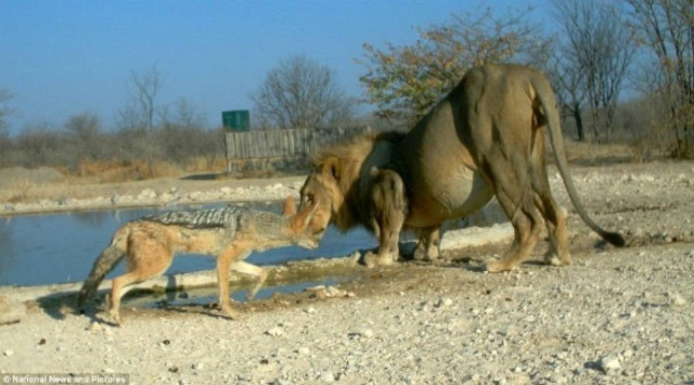 Αυτή είναι η φωτογραφία της χρονιάς!
