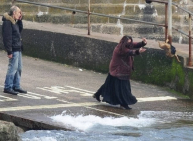 Τιμωρήθηκε το ζευγάρι που πέταξε  το σκυλί του στη θάλασσα