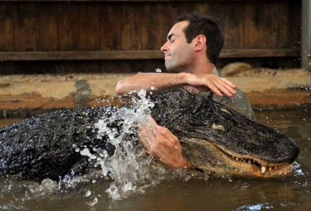 Παρέα με τον Νέλσον τον αλιγάτορα