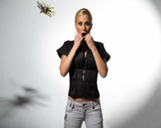 «Έκλεισε» και για δεύτερη χρονιά το Black Out;