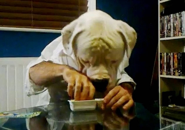 Μπουλντόγκ τρώει με… ανθρώπινα χέρια