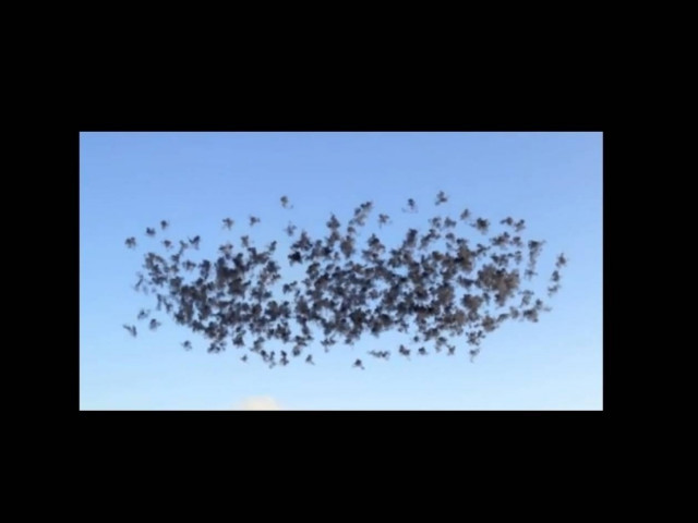 Πυροτεχνήματα στο φως της ημέρας