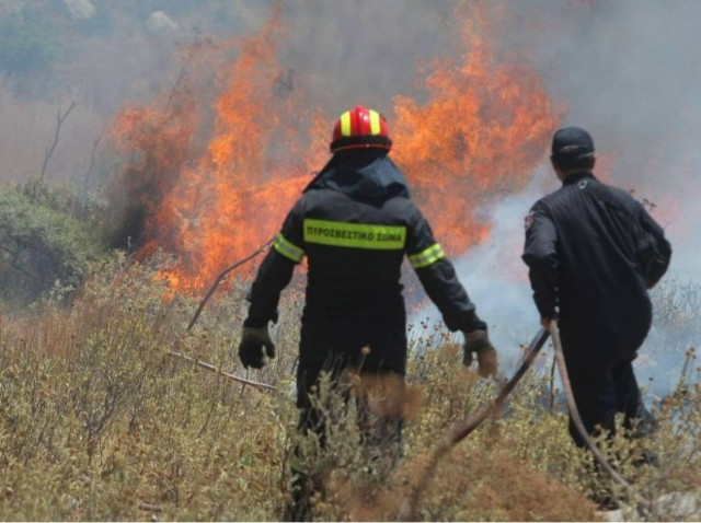 Φωτιά σε δασική έκταση στο Πήλιο