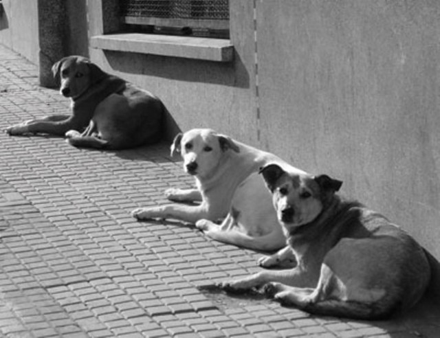 Δέκα συγγραφείς, δέκα ηθοποιοί στο Ίδρυμα Μ.Κακογιάννης