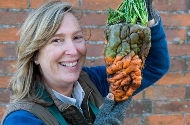 Το μεγαλύτερο καρότο που έχετε δει