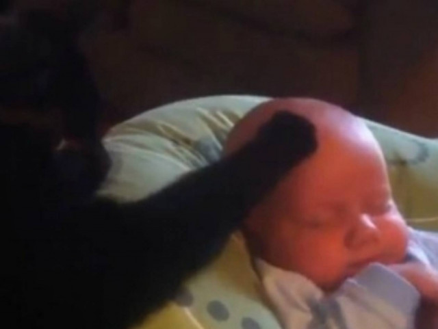 Γάτα χαϊδεύει μωράκι για να κοιμηθεί!