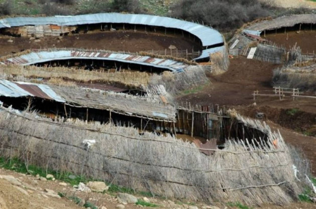 Εξάμηνη παράταση για τους αυθαίρετους στάβλους