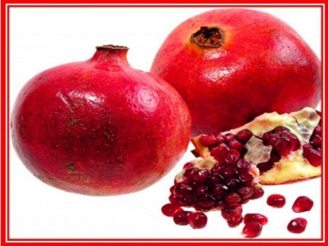 Τα 12 ζώδια και το Νέο Έτος