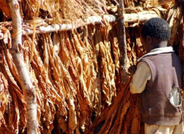 Eργάζονται σκληρά 1 εκατ. παιδιά στη Βραζιλία