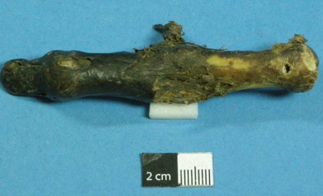 Το δάχτυλο του Γέτι