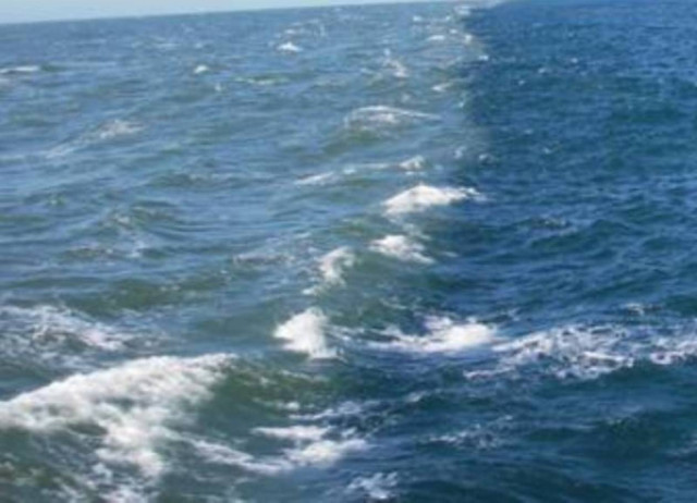 Θαλάσσια ρύπανση στον Πλατανιά Ρεθύμνου