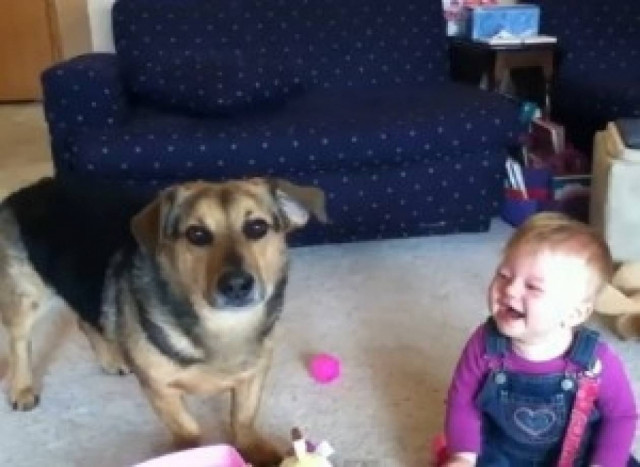 Κοριτσάκι «τρελαμένο» με σκύλο που κυνηγά σαπουνόφουσκες!