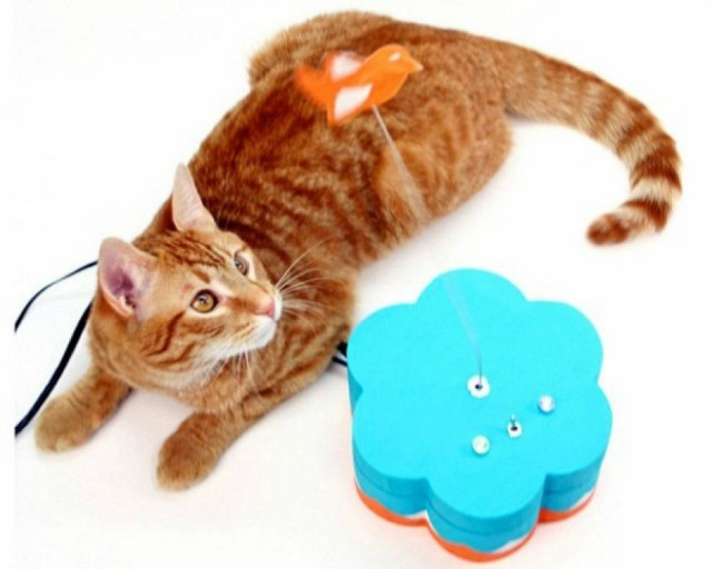 Παιχνίδι για γάτες συνδεδεμένο με το Twitter!