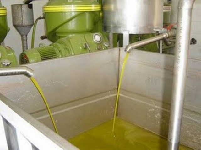 Στον εισαγγελέα Σάμου οι ελαιοτριβείς του νησιού